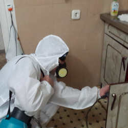 Дезинфекция от муравьев в квартире Площадь Революции метро Москвы