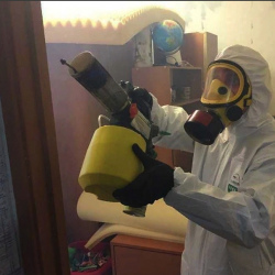 Уничтожение клопов в квартире. Площадь Революции